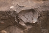 FileNo.215-074.jpg
