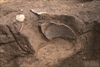 FileNo.215-077.jpg