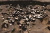 FileNo.215-082.jpg