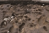 FileNo.215-083.jpg