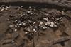 FileNo.215-084.jpg