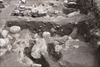 FileNo.215-094.jpg