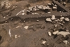 FileNo.215-095.jpg