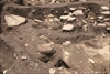 FileNo.215-096.jpg