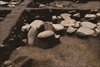 FileNo.215-102.jpg