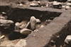 FileNo.215-103.jpg