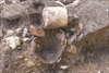 FileNo.215-106.jpg