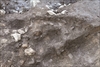 FileNo.215-107.jpg