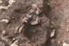 FileNo.215-113.jpg