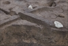 FileNo.215-119.jpg