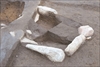FileNo.215-120.jpg