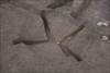 FileNo.215-126.jpg