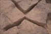 FileNo.215-127.jpg