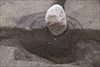 FileNo.215-128.jpg