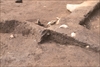 FileNo.215-133.jpg