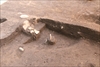 FileNo.215-134.jpg