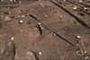 FileNo.215-137.jpg
