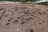 FileNo.215-138.jpg