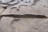 FileNo.215-143.jpg