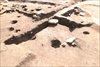 FileNo.215-150.jpg