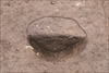 FileNo.215-156.jpg