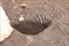 FileNo.215-157.jpg