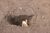 FileNo.215-160.jpg
