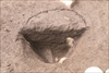 FileNo.215-161.jpg