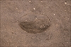 FileNo.215-162.jpg