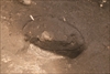 FileNo.215-163.jpg