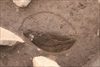 FileNo.215-164.jpg