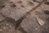 FileNo.215-165.jpg