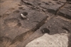 FileNo.215-166.jpg