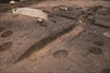 FileNo.215-167.jpg