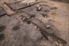 FileNo.215-169.jpg