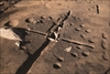 FileNo.215-172.jpg