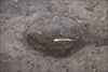 FileNo.215-174.jpg
