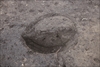 FileNo.215-175.jpg