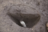 FileNo.215-176.jpg