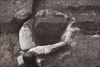 FileNo.215-178.jpg