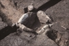FileNo.215-179.jpg