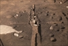 FileNo.215-180.jpg