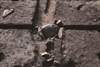 FileNo.215-181.jpg