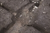 FileNo.215-182.jpg