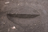 FileNo.215-192.jpg