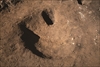 FileNo.215-197.jpg