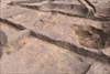 FileNo.215-200.jpg