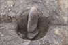 FileNo.215-201.jpg