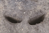 FileNo.215-202.jpg