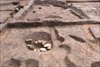 FileNo.215-204.jpg